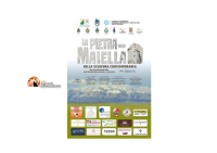 Lanciano. Auditorium Diocleziano: “La Pietra della Maiella nella scultura contemporanea"