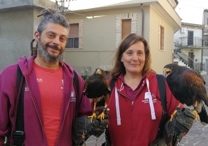 I falconieri di Sulmona