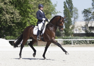 San Giovanni Teatino Dressage. Campionato regionale