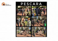 Pescara. Salvate il Parco in Via della Fornace Bizzari. E' importante per l'ecosistema.