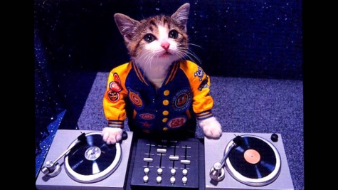 Fossacesia dice no ai botti per tutela degli animali