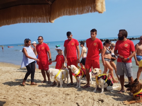 Pescara, salvataggio in mare con cani addestrati