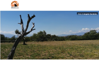 Parco archeologico Colletelegrafo