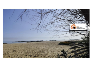 Montesilvano, nuove tariffe per la tassa di soggiorno.