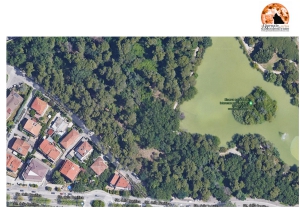 Pescara: Giu’ le mani dagli alberi di via Pantini! Non c’è finanziamento che tenga