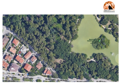Pescara: Giu’ le mani dagli alberi di via Pantini! Non c’è finanziamento che tenga