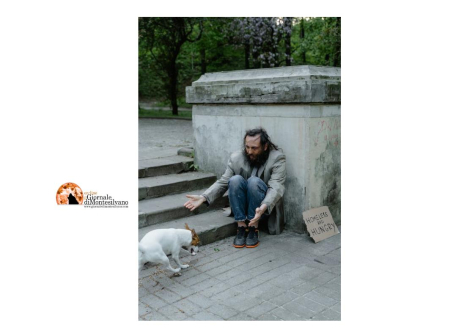 Ospedale congiunto umano- animale. Studio USA: salverebbe la vita a molti senzatetto, ecco perchè