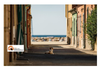 Banca Italia: in Abruzzo e Molise cambia assetto filiali, tutto concentrato nelle grandi città