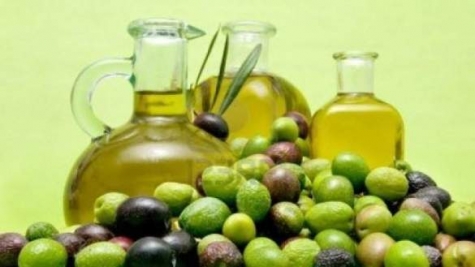 Pianella. L’Olio protagonista a Trieste