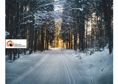 Neve, nel corso della giornata scenderà intorno a 800-1000 metri.