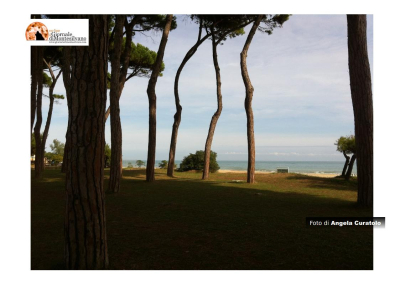 "Pineto Città Verde", mostra storico-fotografica a Villa Filiani