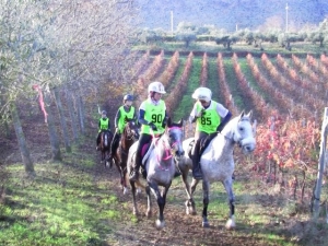 Vittorito./ippica. Campionati Internazionali di Endurance