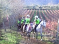 Vittorito./ippica. Campionati Internazionali di Endurance