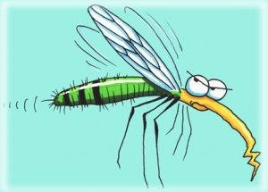 Montesilvano, disinfestazione: le date in calendario