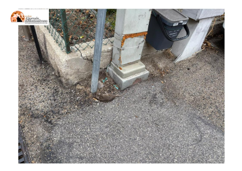 Montesilvano, topi in in via Adige. Carcassa di ratto: residente invia richieste a ASL e Comune.