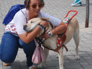 Ecco i protagonisti della vicenda