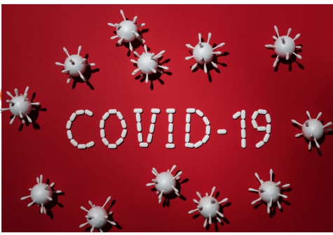 Covid 19. Tasso di positività al 10%. Le vittime quasi 80mila