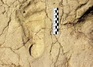 Preistoria, in Etiopia scoperte impronte di bambini nel fango