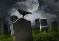 L'Aquila/cimiteri, annunciato project financing. Anifa, “scandaloso”