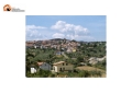 Cupello/delibera contro critiche cittadine 'eccessive' su Fb.  Pd Abruzzo: "Va ritirata"