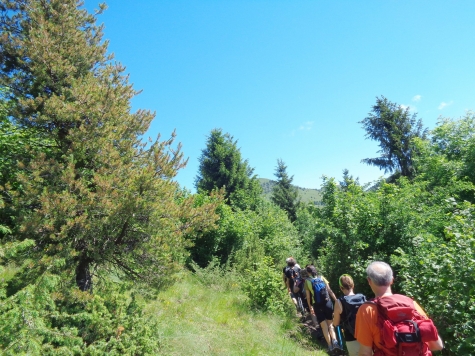 Prealpi Bergamasche, Pizzo Formico con alti e bassi
