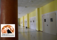 Montesilvano, PalaDeanMartin in gestione 8 uffici e bar. Due bandi per proposte.