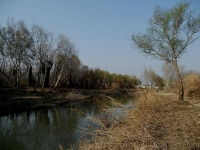 Saline - Montesilvano