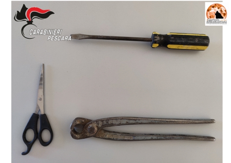 Montesilvano, Carabinieri arrestano due plurievasi