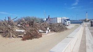 Pescara, pulizia sull'arenile