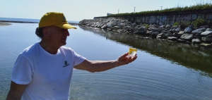 Goletta Verde/Legambiente. In Abruzzo 4 punti su 8 “fortemente inquinati”