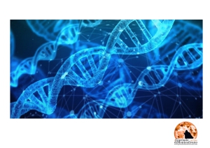 L'Aquila/IRCCS San Raffaele: un progetto di ricerca sul genoma non codificante