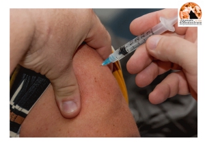 Abruzzo/vaccino anti covid. Prenotazione solo attraverso le poste.