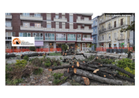 Pescara. Slittano a dopo le feste i lavori su Piazza Sacro Cuore e Corso Umberto I
