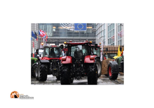 Sala la tensione a Bruxelles, Polizia usa lacrimogeni. Agricoltori. “Le regole devono essere uguali per tutti”