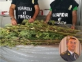 Pescara. Florida piantagione di marijuana coltivata sull'attico