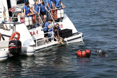 Rilascio in mare 