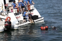 Rilascio in mare 