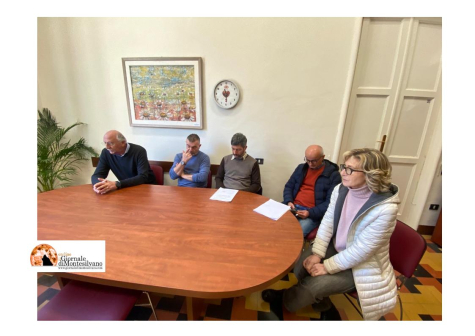 Pescara. Alberi, verifica di staticità di 2500 esemplari: 8 su 10 hanno criticità
