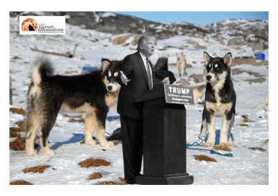 L'Offensiva totale di Trump: dalla Groenlandia alla Nigeria per contrastare l'egemonia della Cina.