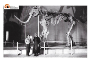 L'Aquila/Mammut, donate 23 foto originali scattate nel momento della scoperta a Scoppito nel '54.