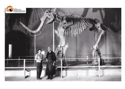 L'Aquila/Mammut, donate 23 foto originali scattate nel momento della scoperta a Scoppito nel '54.