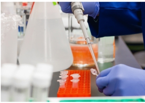 Covid19/Italia. Valle d'Aosta e la Basilicata non hanno registrato nuovi casi nelle ultime 24 ore