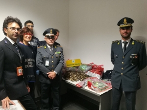 Oltre mille esemplari di specie animale protetta sequestrati ai cacciatori