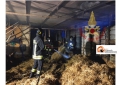 Pescara, incendio in via Raiale: prende fuoco una stalla con i cavalli