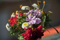 Lega B scende in campo contro la violenza sulle donne