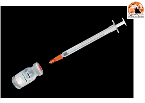 Vaccini Covid in Ue: 88 milioni di dosi consegnate, 77mln esportate.