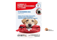 Amici a quattro zampe: l'Enbital organizza il corso di primo soccorso