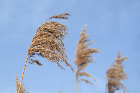 Perturbazioni atlantiche ma torna il sole nei prossimi giorni.
