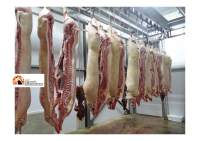 Frode IVA nel commercio delle carni nella Alta Val Pescara