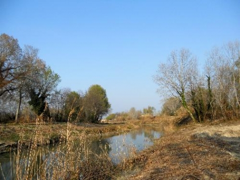 Fiume Saline